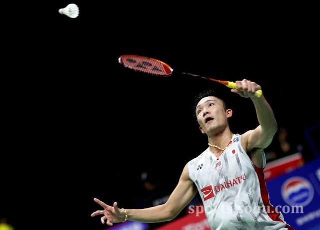 诺艾莎的银 诺艾莎的银